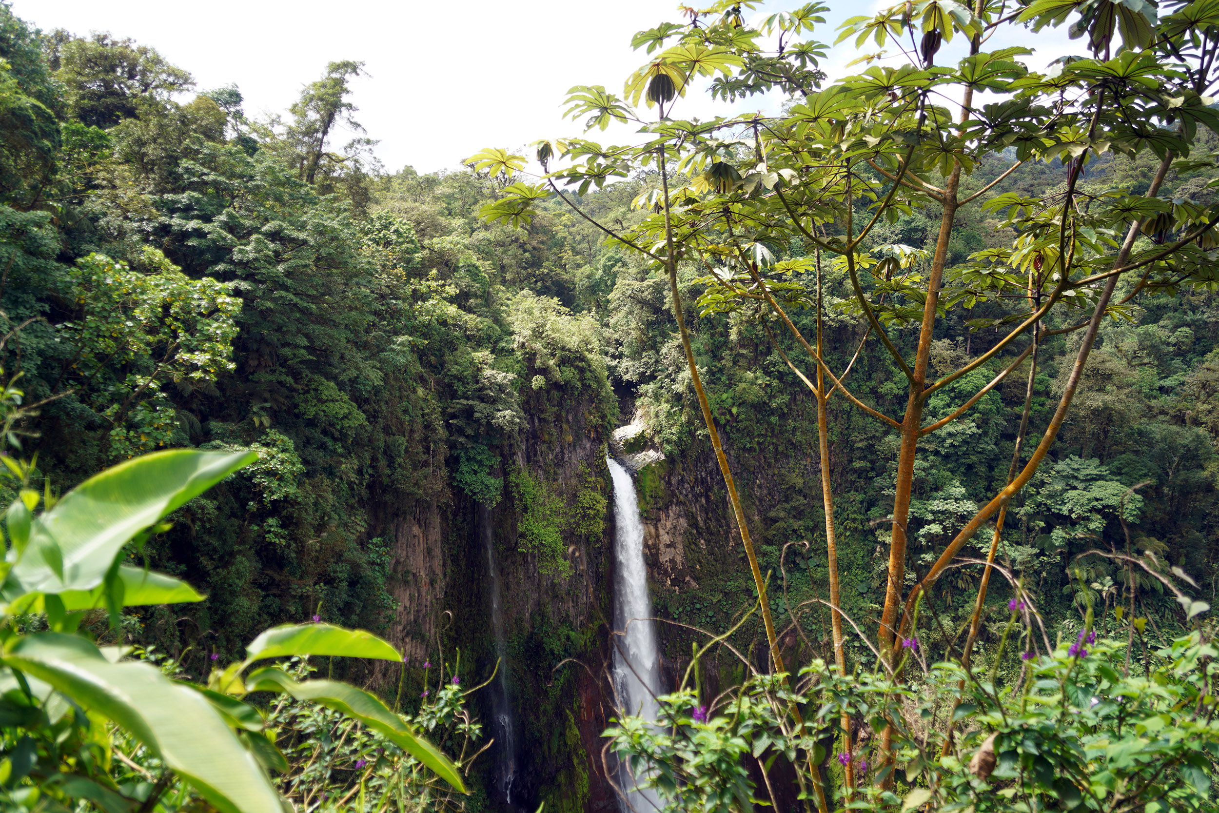 Costa Rica - Février 2025